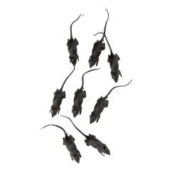  Råttor - Svart, 8-pack