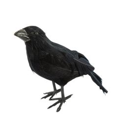  Korp med svarta fjädrar, 12.5x20cm