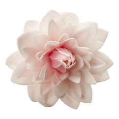 Dekora Ätbar våffelblomma - Dahlia rosa, 12,5 cm
