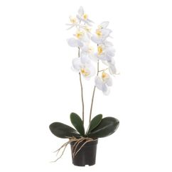  Vit orkidé i kruka - Konstgjord växt, 59 cm