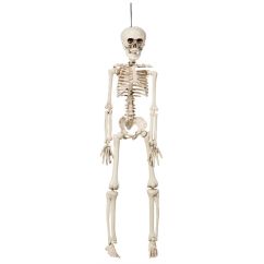  Hängande skelett, Plast, 42cm