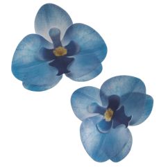 Dekora Ätbara våffelblommor - blå orkidé, 10 st