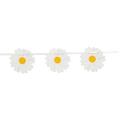 Banner - Daisies, 4m