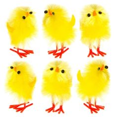  Små gula kycklingar, 6-pack