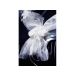  Bröllopsbil Dekoration - Organzagirlang med vita rosor, 1,8m, 2st