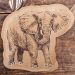  Papperstallrikar - Savannsafari, Elefant, 8-pack