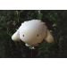  Folieballong - Lamm, 67x40cm