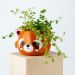  Blomkruka i keramik - Röd panda