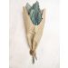  Torkade palmblad - 55cm, blågrön, 10-pack