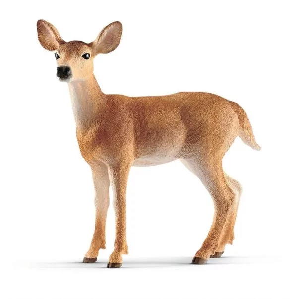 Schleich Schleich - Vitsvanshjort hona, 9cm